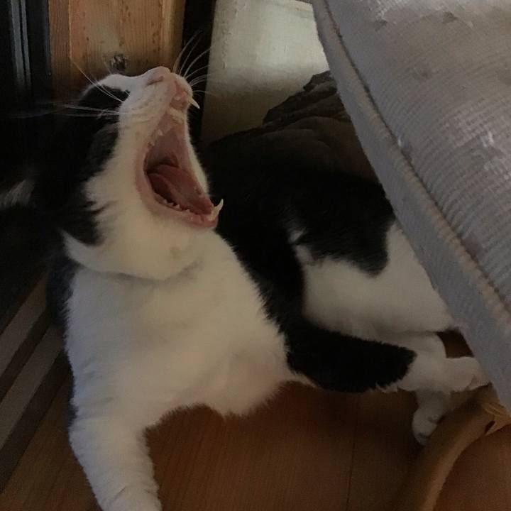 3db94db9 0901 4f3c 9250 4b014ff7660c 1755602839925