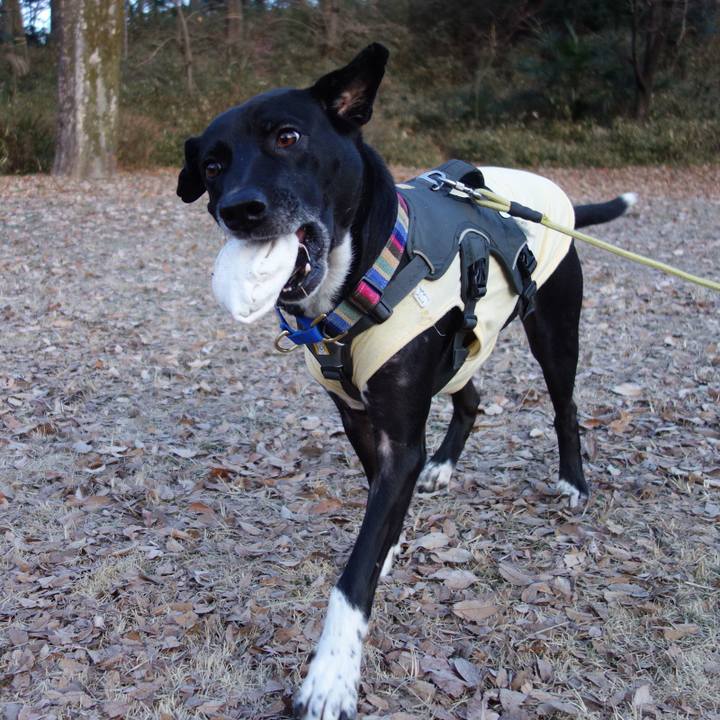 3db958e6 710d 4c5a b77f aa4381e59a68 1642035759666