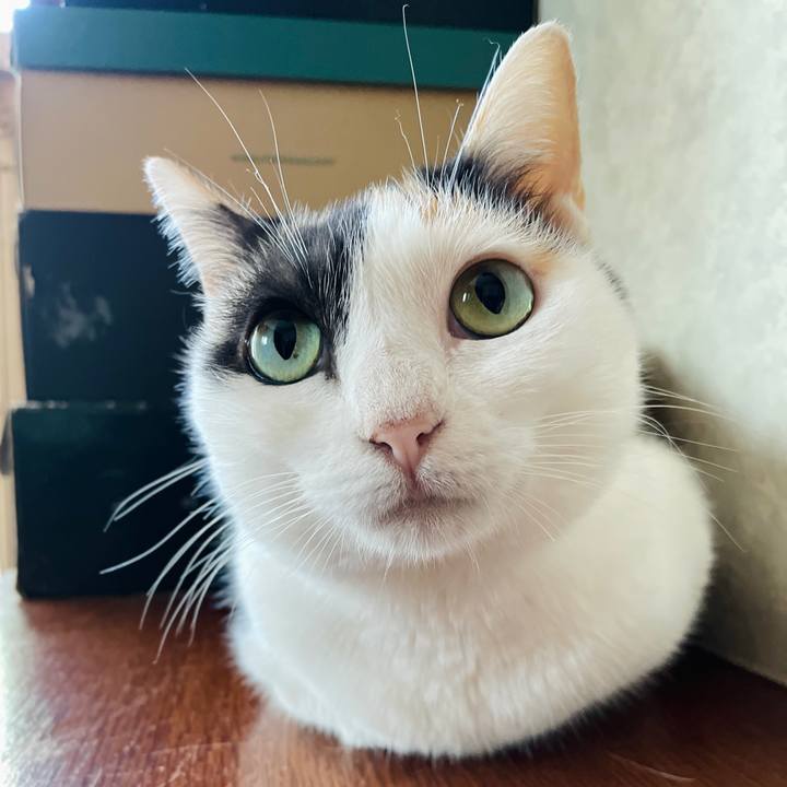 3db95d04 1318 4fba 8d81 827138ecea4f 1663035421297