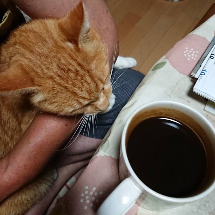 3db988dd 53a8 4cf0 a713 687422a48b37 1598819372988