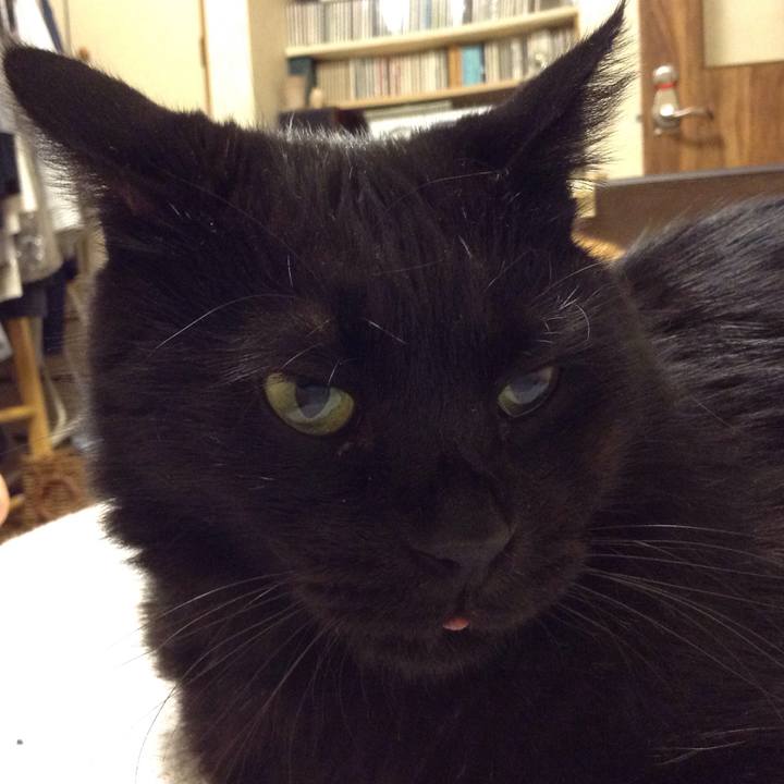 3db9a545 119b 4671 9329 c9027056a763 1570537343458