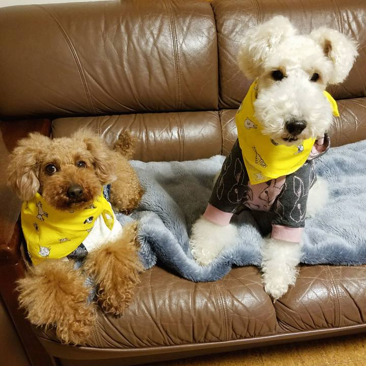 3db9b405 a905 40ef b115 09c4adadd7af 1521636413975