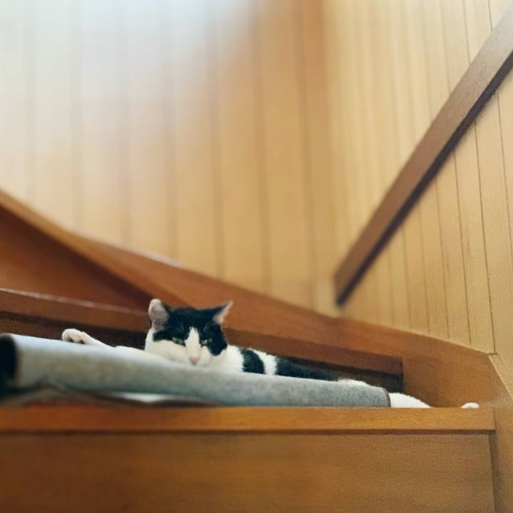 3db9db5f cb49 49a3 bc2a 0c6e94b688c0 1595381605133