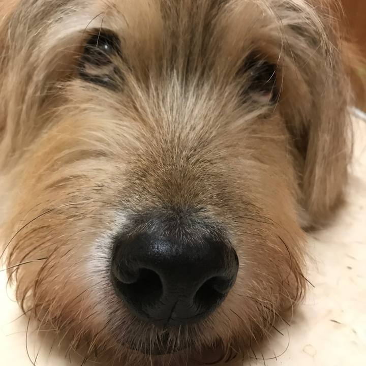 3dba00dc 4128 4261 80f8 e04f8e153014 1572045073742