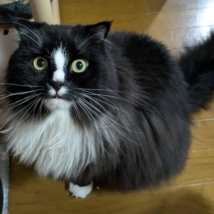 3dba19ed 543d 4520 b2c9 0b5510b0d68b 1725510497511