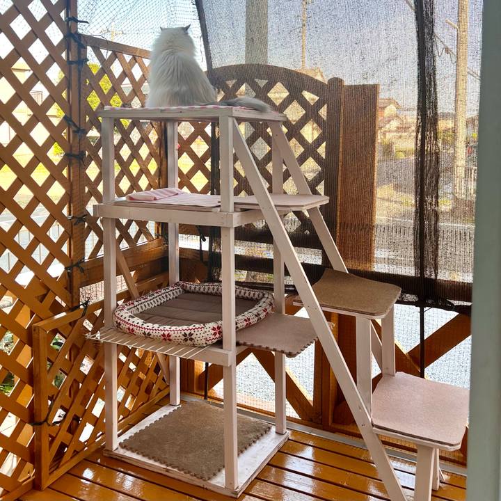 3dba240a d012 4b26 ae1b ff709b3a8b5a 1716070441424