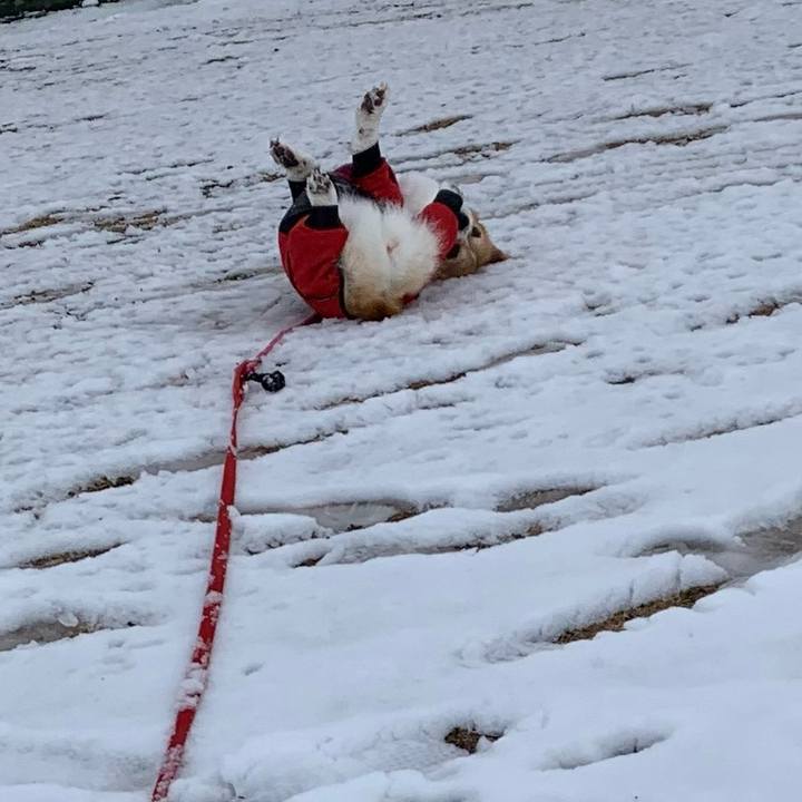 3dbab90e 1e33 40cb a028 368b2b739ab2 1707194723882