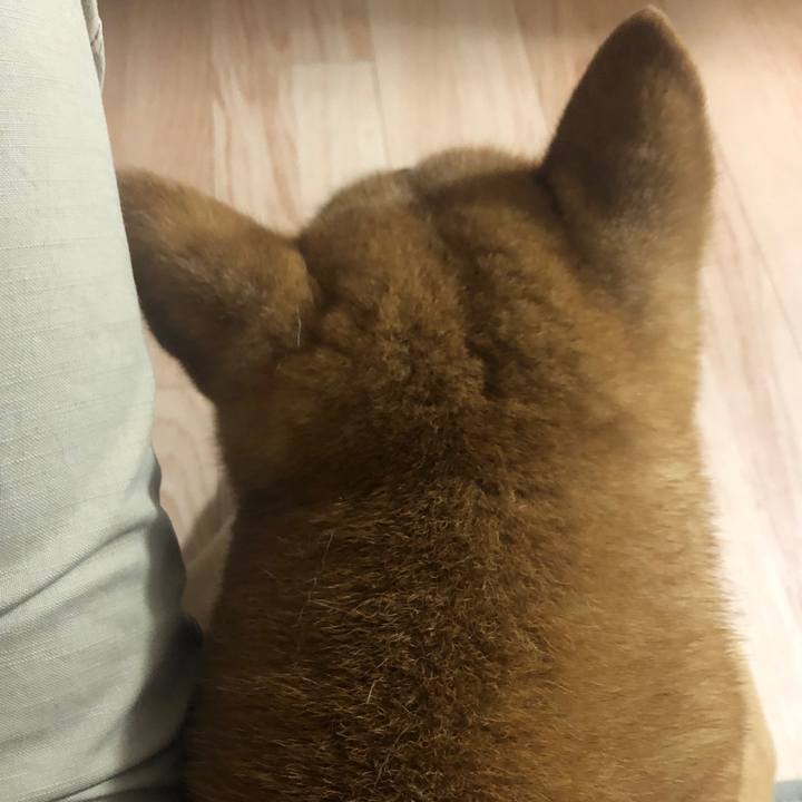 3dbafeab 7e80 462f 9b1e 42cf35849ee2 1564964250726