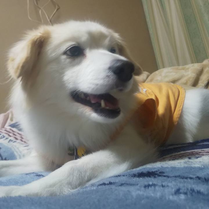 3dbb0921 fdb9 45c8 b33a 3f95cf5c51ac 1640575741453