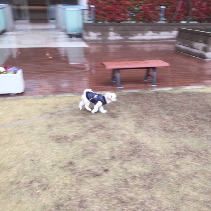 3dbb1071 af0c 4247 a0a9 75b9163847f3 1554894815083