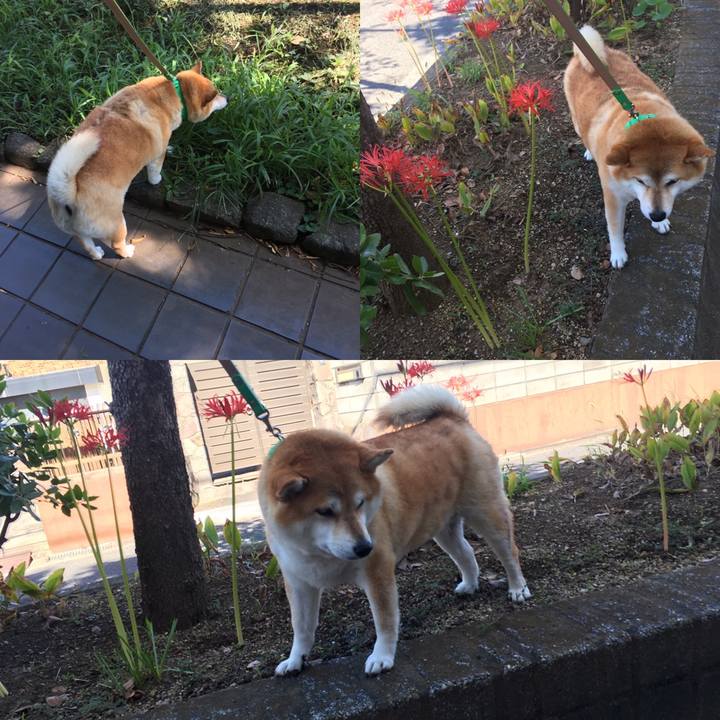 3dbb8ab7 79bb 4dcd adce ca6e96510466 1601432201928