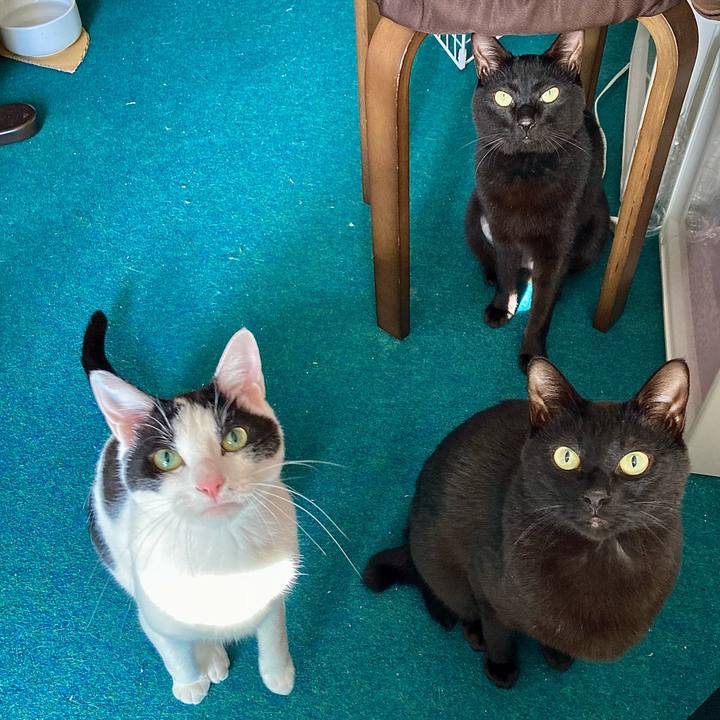 3dbba794 e052 4aaf be8b acfc3c26c3c8 1708757321017