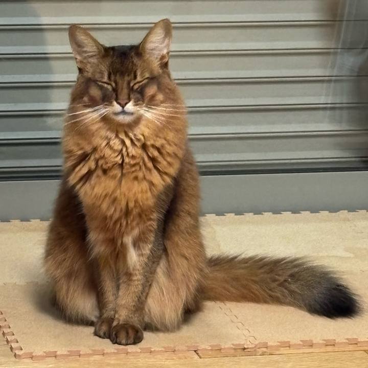 3dbbe146 7be3 45b4 8683 9ab70c4af60f 1763021801703