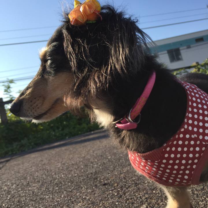 3dbbeed6 241d 44c6 8a10 7e66497b06c0 1543364053491