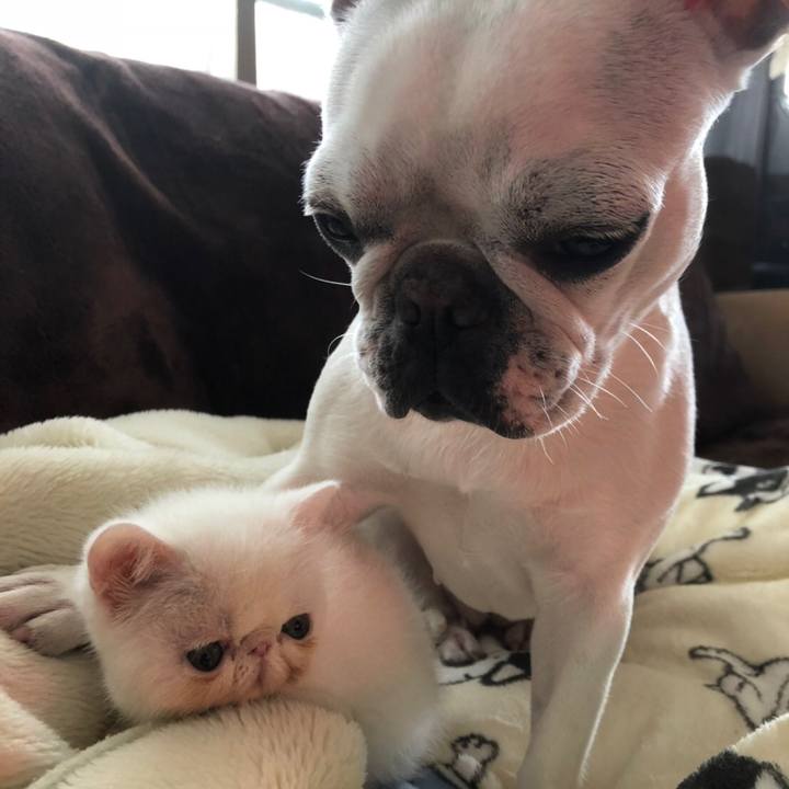 3dbc18b6 e32b 4d02 bba5 e1d6dc6b3f29 1605100617820