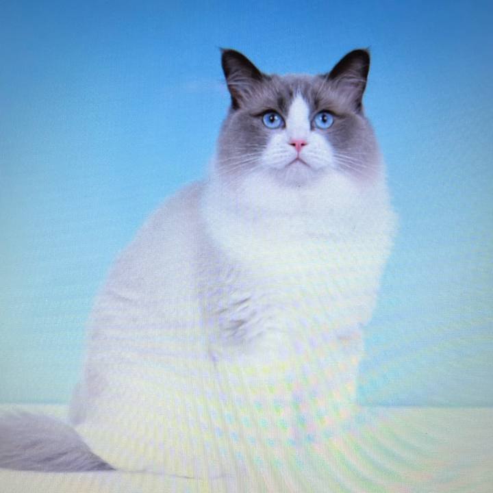 3dbc3301 57c7 4c43 8da9 f2eaf55d20d2 1657771229419