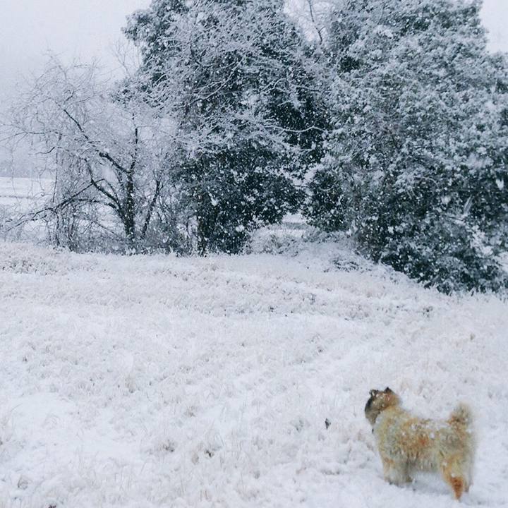 3dbc37d4 b1bf 4a82 a730 746482358693 1547853990515