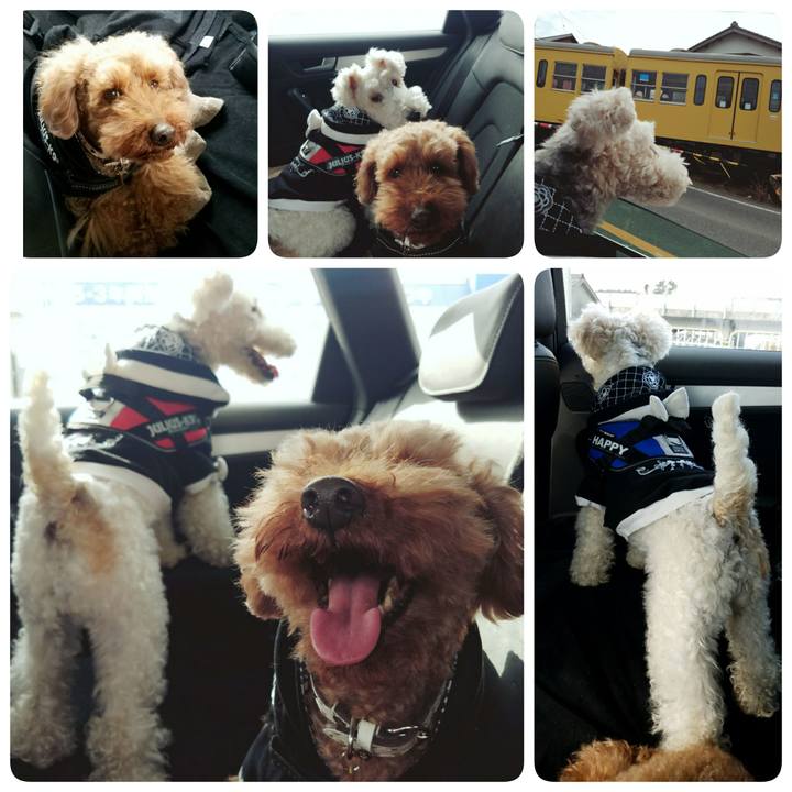 3dbc3933 60dc 43dc a8d1 6905cb020994 1516504214999