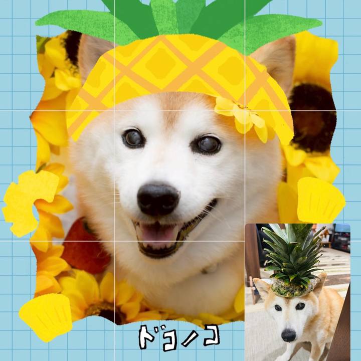 3dbc7375 c1b6 4e1a adac bf68d438a5b9 1784076432001