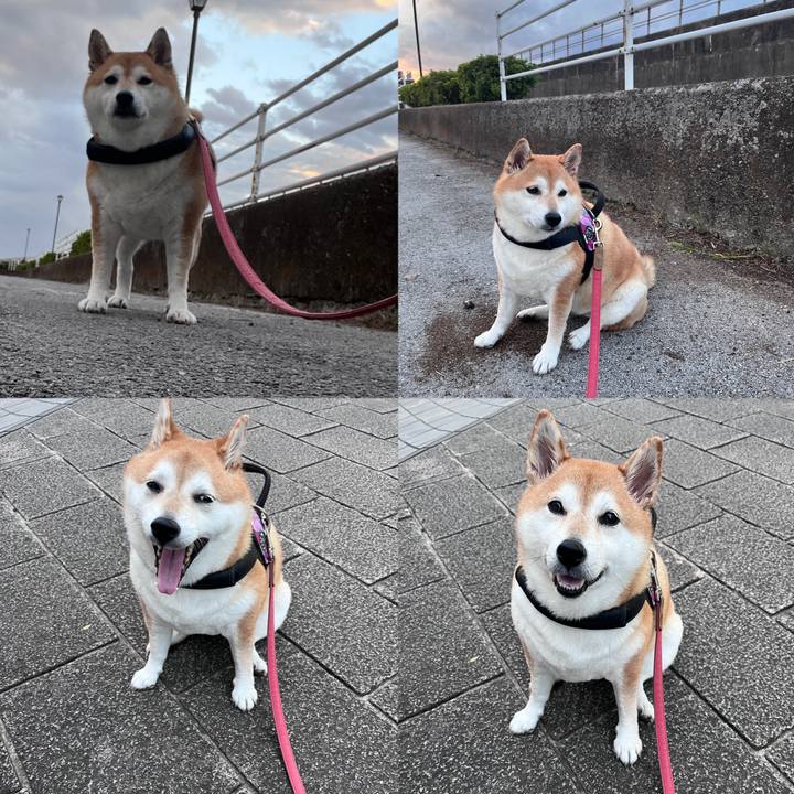 3dbc8912 cd4f 43a3 9462 b7f1925b7edf 1697877339599