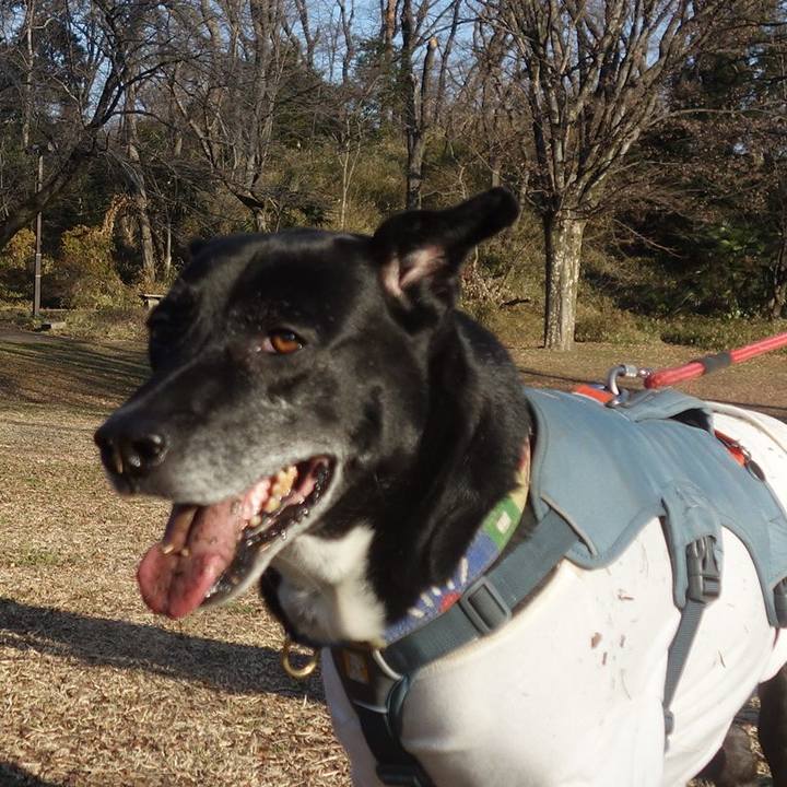 3dbc9cfc 5c89 4a98 8fed e47b9f3a4c18 1706578020094