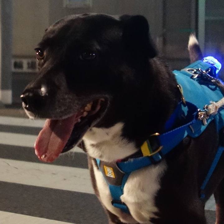 3dbccf63 2614 4b82 a9eb 5642927c06ae 1667472422958