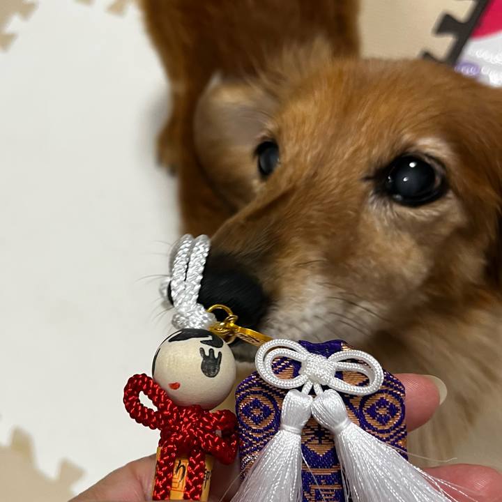 3dbce96d 6de9 4a07 bf33 bcc110c91a04 1668507291437