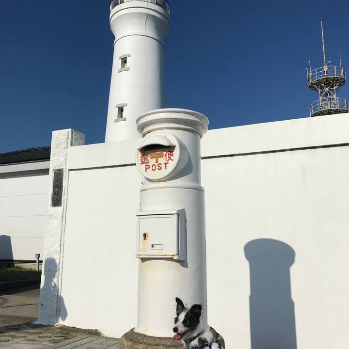 3dbd279d 7fe6 4a50 a2e4 4b0842659a0b 1535355628705