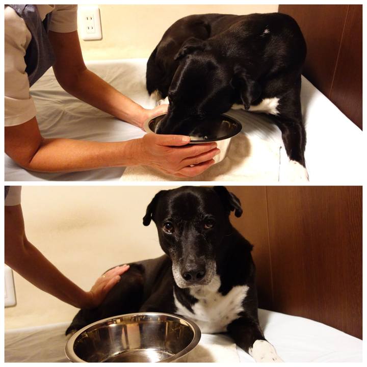 3dbd2808 0eb1 4b3c 9a49 3400c4ca238e 1724506710675