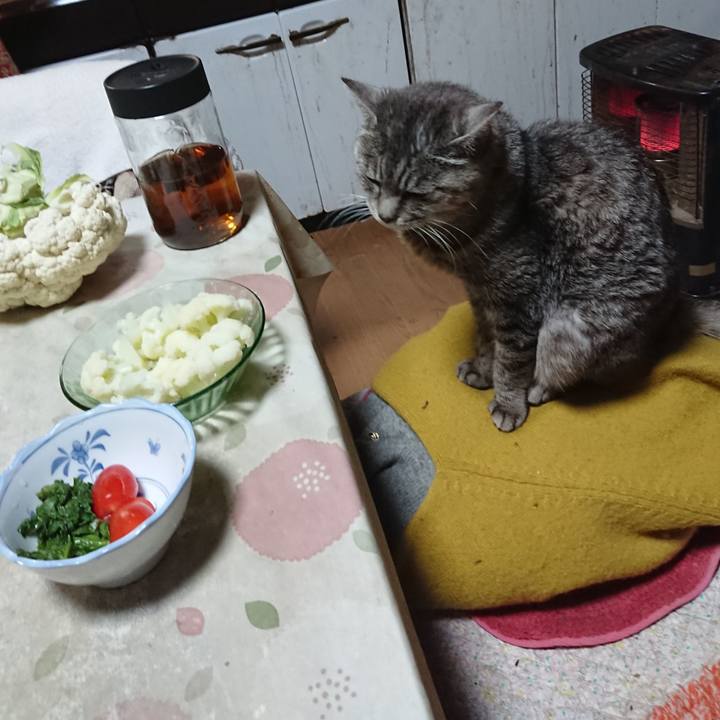 3dbd41e3 1d77 4286 a403 72a5fcdf8091 1573040427802