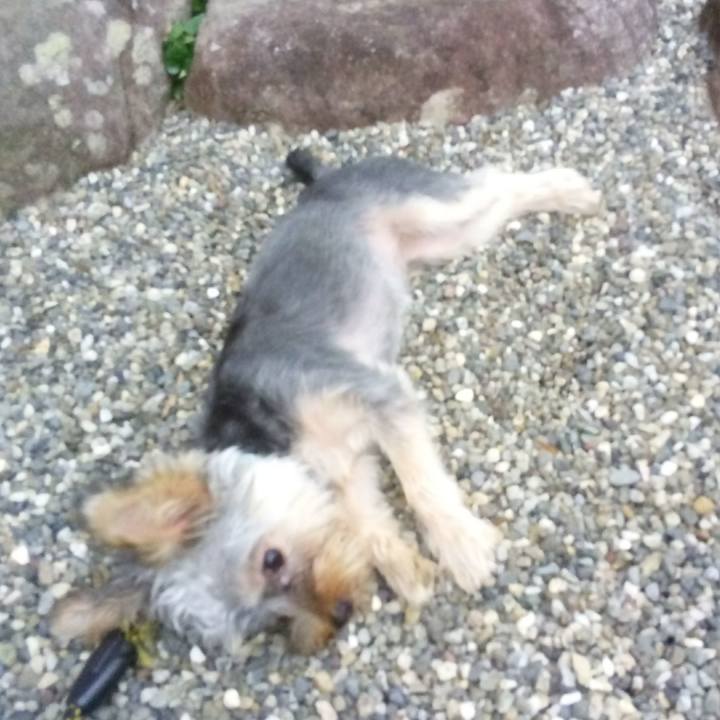 3dbd433f aca9 4472 8462 b566e732b842 1536751216050