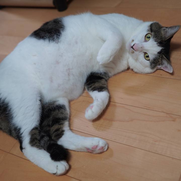 3dbd4614 5e9e 4091 a2da 583108f55ace 1595288633423