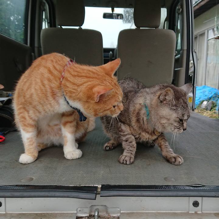 3dbd61d7 2639 4302 b948 50cc9293d6ac 1567717425547