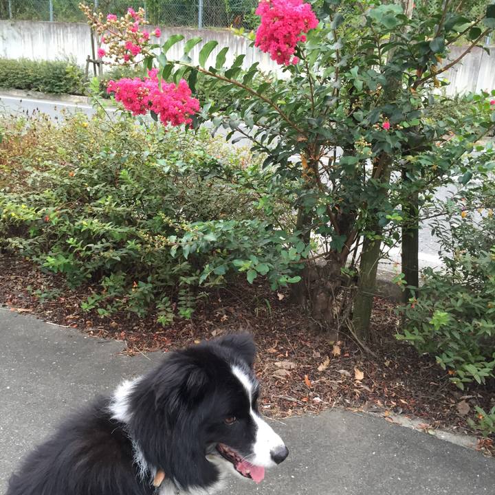 3dbd809f 5ce5 4dd7 833a a4cd033d3e6e 1532207637819