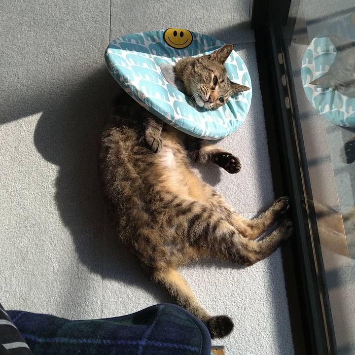 3dbda895 a711 4391 96f8 3999d9a713bb 1744439068024