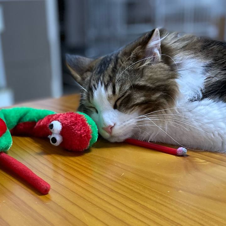 3dbdf9f8 20a9 4fb8 8001 e60743ea6f19 1642156168942