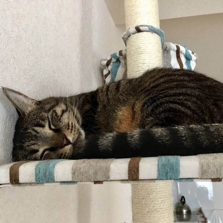 3dbe0189 096c 46fb a8b9 fafd40e58968 1510009448761