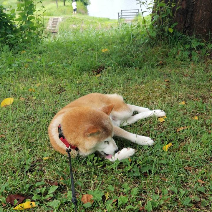 3dbe21a5 c700 47a9 87d4 864806f4e56f 1722931524796