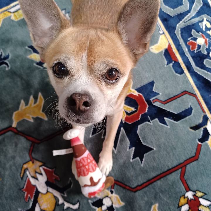 3dbe3978 51a1 4aad 9bf2 8ad71f0142ff 1667340563015