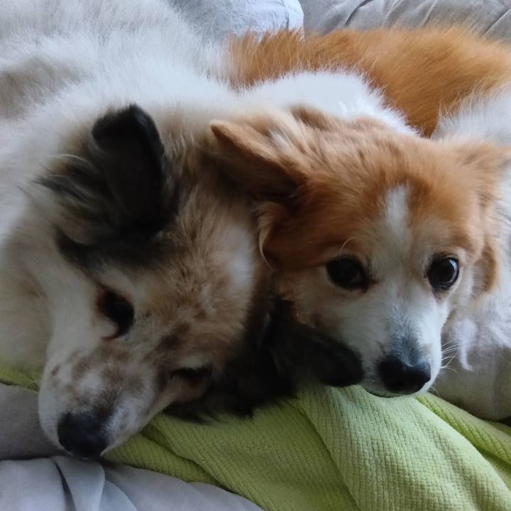 3dbe4938 c078 4997 8917 d2cebf077cde 1706180443063