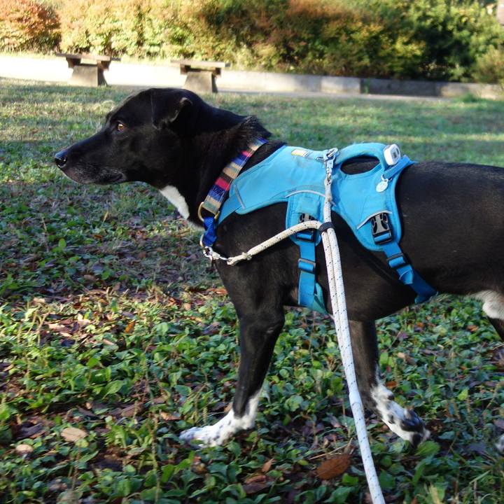 3dbe6359 6980 454d b645 58873eda1589 1636935284720