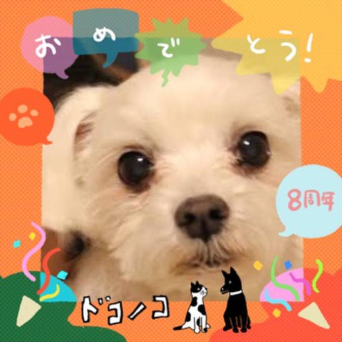 3dbe72ae e197 4336 a922 f42b08ba7572 1717604227308