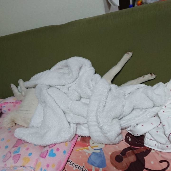 3dbe915d e55f 4f6b 8fe7 3b0106c73f2a 1549025416320