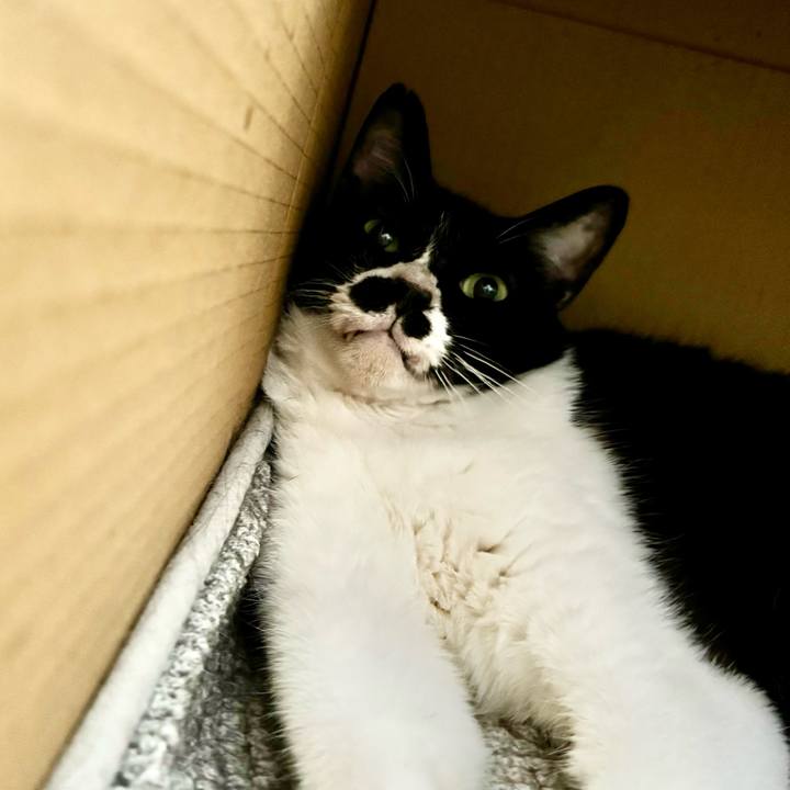 3dbeb5bc c8d3 451b 80ec 1baed3c0b6cf 1724392652526