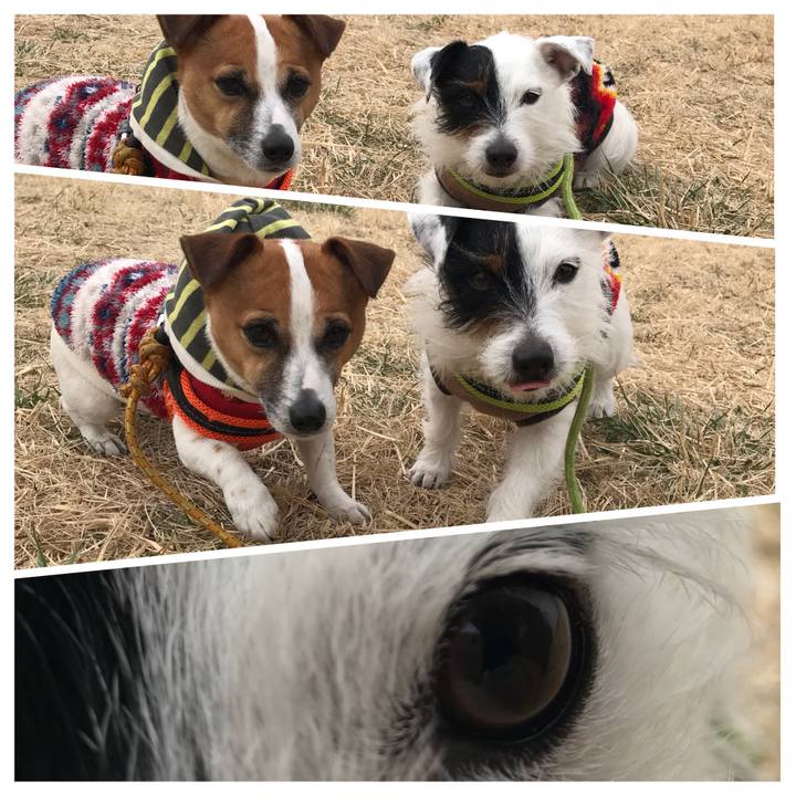 3dbeec74 1017 4693 bdd4 4f3cf7de4923 1519174181377