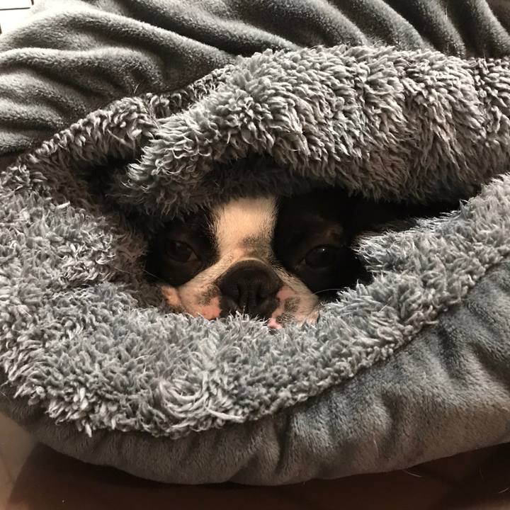 3dbeef23 18f2 4887 ad24 5bde10bf0707 1519389824440