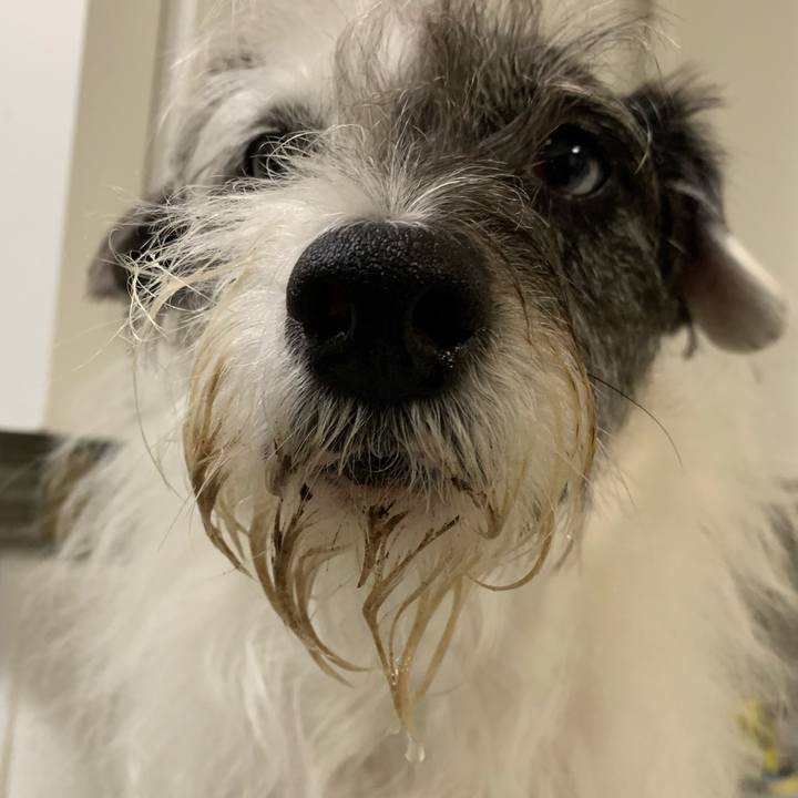 3dbef15f 4994 4804 9d8e 95439e9ff163 1587250324605