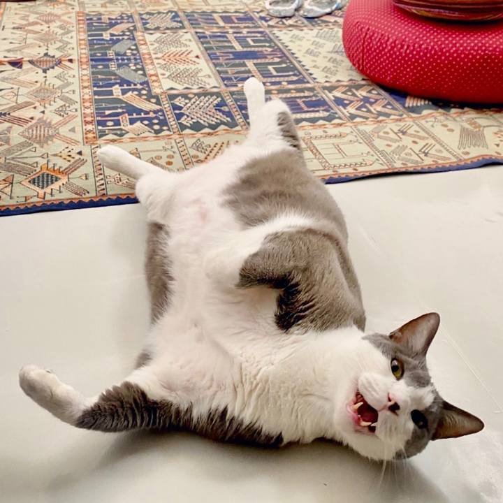 3dbf11d4 fa43 44e9 abdc ee3b5f1f855a 1604913329911