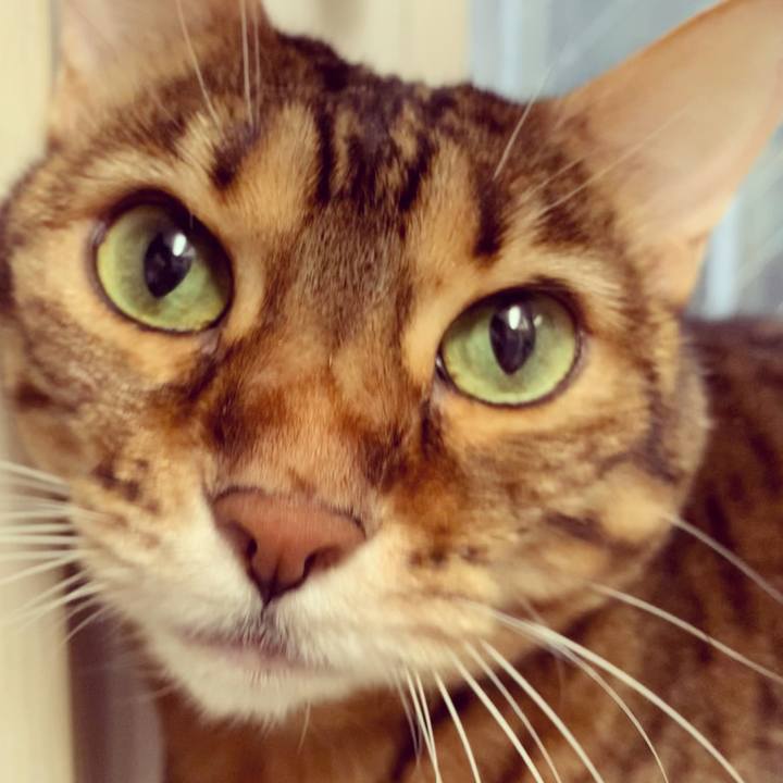 3dbf20ee d6d1 464f 8b55 0dc07214c07a 1605237413188