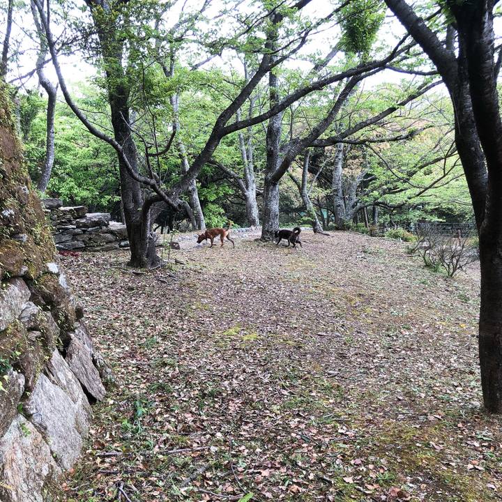 3dbf34ef 4aa3 419e acfe 71253a461ef4 1587627215236